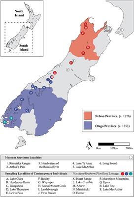 Who, Where, What, Wren? Using Ancient DNA to Examine the Veracity of Museum Specimen Data: A Case Study of the New Zealand Rock Wren (Xenicus gilviventris)